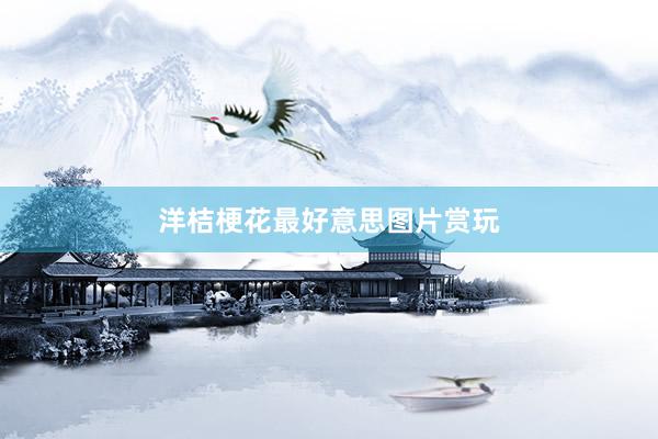 洋桔梗花最好意思图片赏玩
