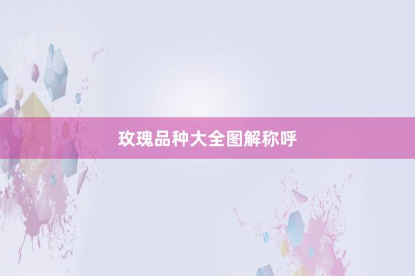 玫瑰品种大全图解称呼
