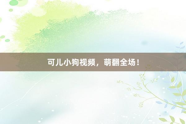 可儿小狗视频，萌翻全场！