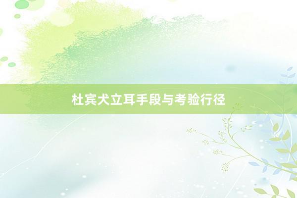 杜宾犬立耳手段与考验行径